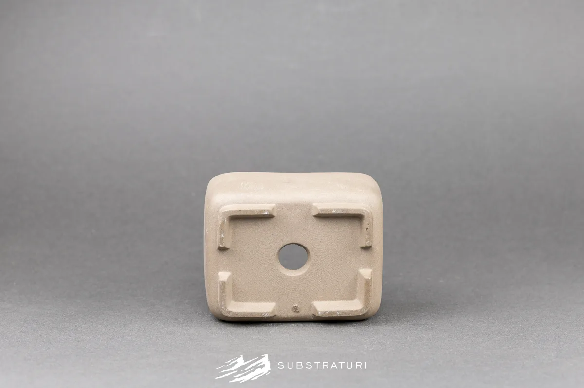 SB20407-